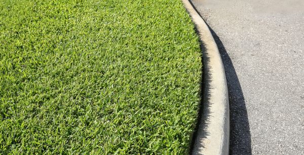 Cost of Street Curb Repair in Kokomo