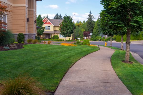 Cost of Sidewalk Patching in Kokomo